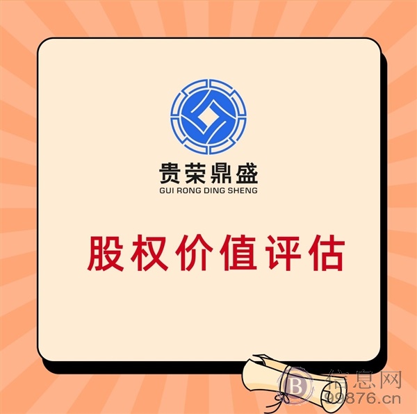 广东省广州市股权转让评估公司价值评估