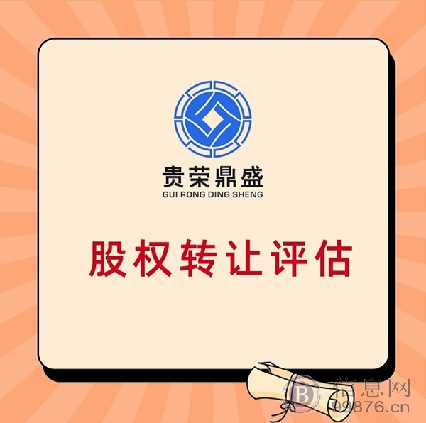 广东省广州市股权转让评估公司价值评估