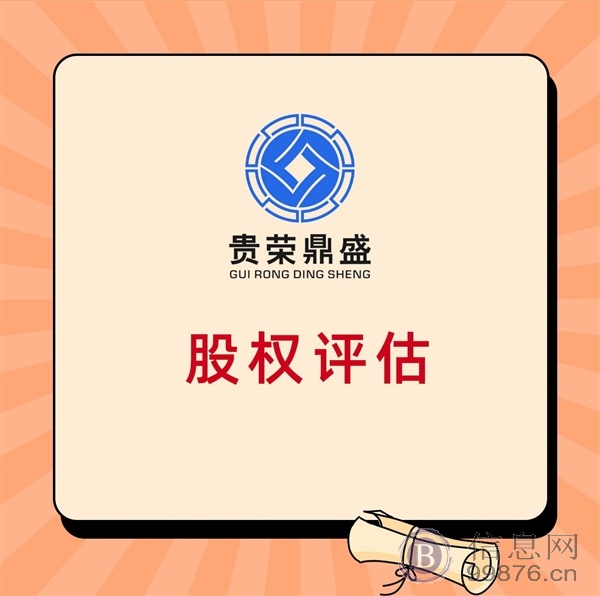 广东省广州市股权转让评估公司价值评估